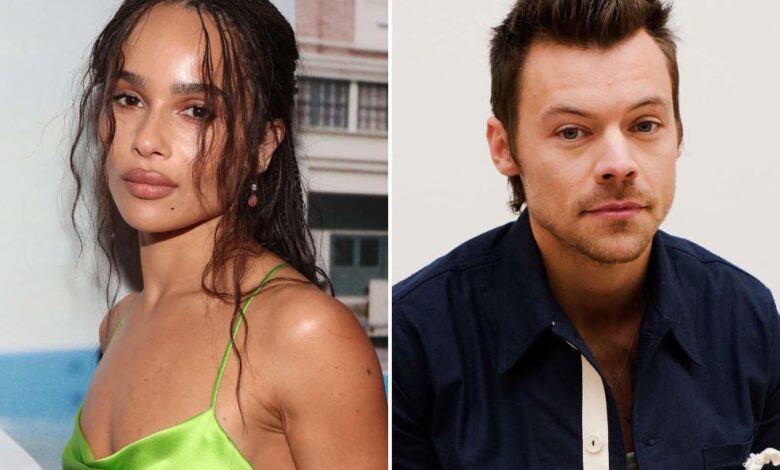 Harry Styles und Zoë Kravitz